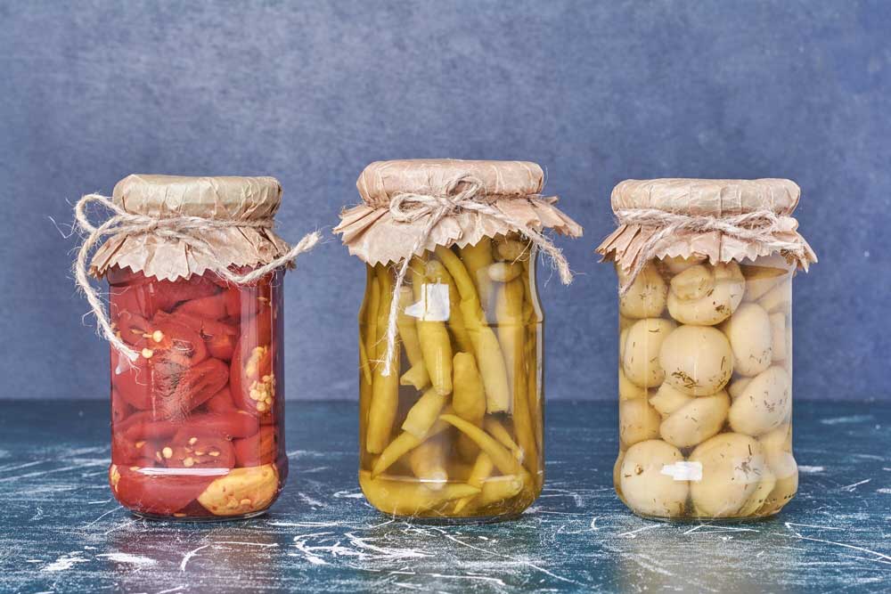 fermentation process